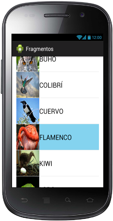 Ejemplo Movil Listado Fragments Android - www.Jarroba.com