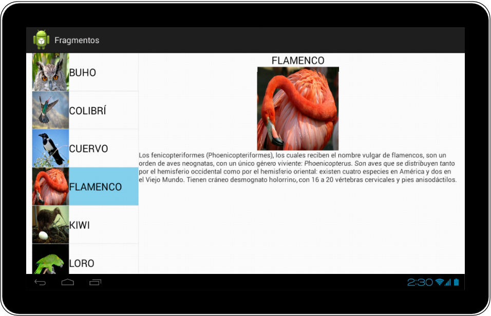 Ejemplo Tablet Fragments Android - www.Jarroba.com